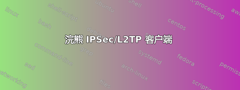 浣熊 IPSec/L2TP 客户端