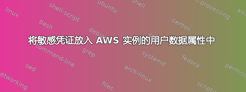 将敏感凭证放入 AWS 实例的用户数据属性中