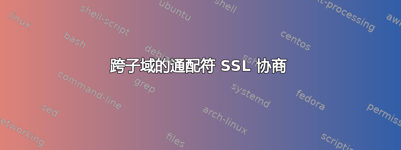 跨子域的通配符 SSL 协商