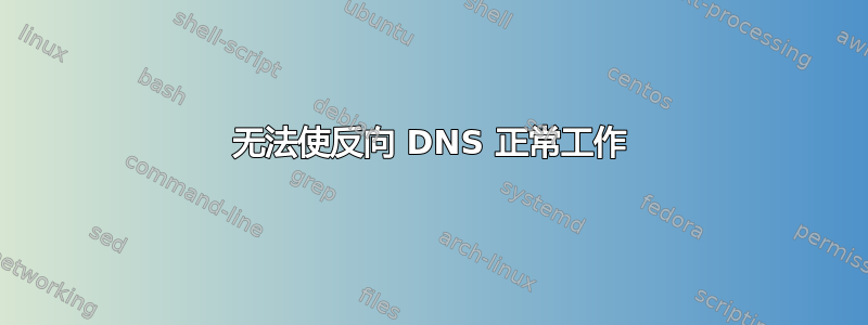 无法使反向 DNS 正常工作