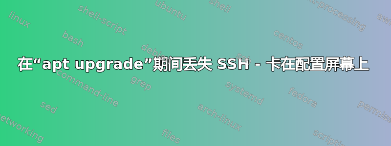 在“apt upgrade”期间丢失 SSH - 卡在配置屏幕上