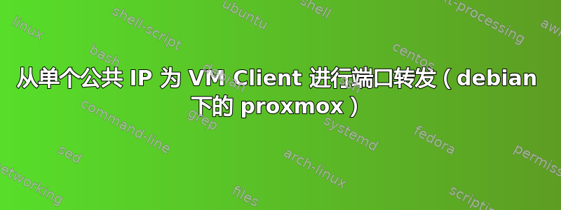 从单个公共 IP 为 VM Client 进行端口转发（debian 下的 proxmox）