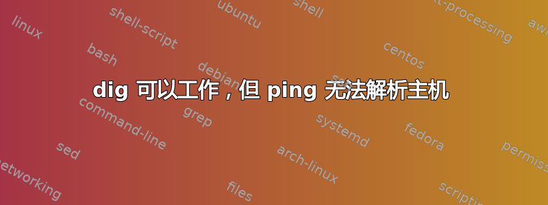 dig 可以工作，但 ping 无法解析主机