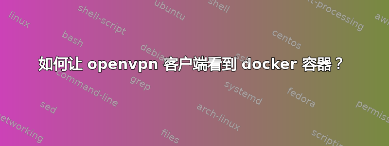 如何让 openvpn 客户端看到 docker 容器？