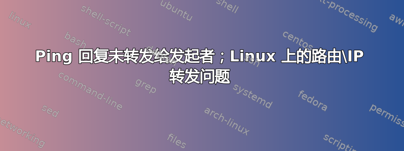 Ping 回复未转发给发起者；Linux 上的路由\IP 转发问题