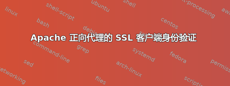 Apache 正向代理的 SSL 客户端身份验证