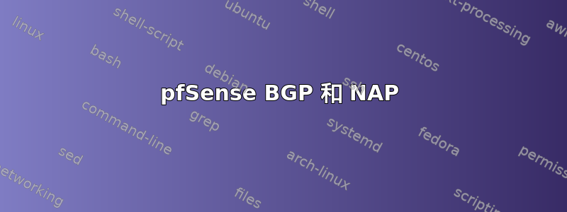 pfSense BGP 和 NAP