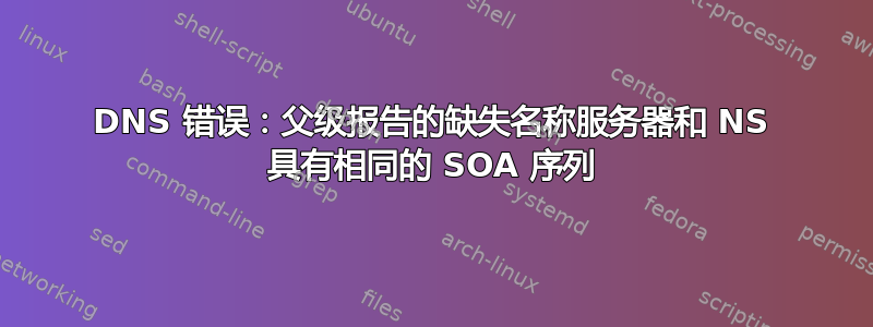 DNS 错误：父级报告的缺失名称服务器和 NS 具有相同的 SOA 序列