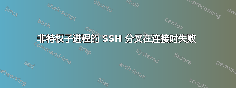 非特权子进程的 SSH 分叉在连接时失败