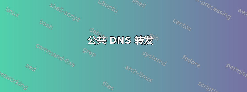 公共 DNS 转发 