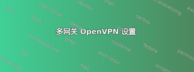 多网关 OpenVPN 设置