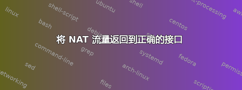 将 NAT 流量返回到正确的接口