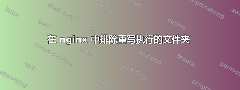 在 nginx 中排除重写执行的文件夹