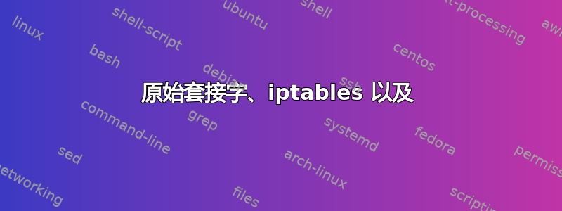 原始套接字、iptables 以及