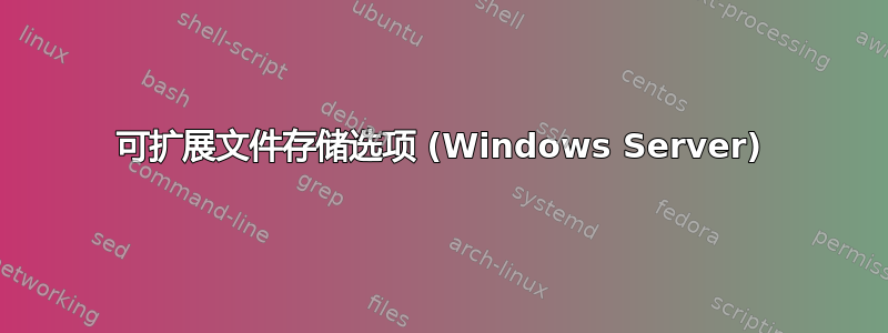 可扩展文件存储选项 (Windows Server)