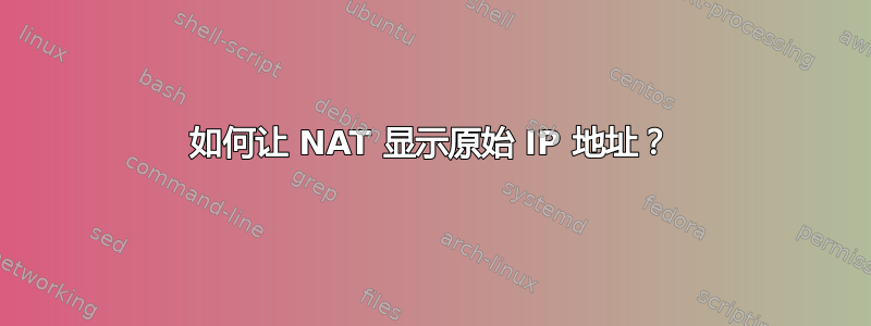 如何让 NAT 显示原始 IP 地址？