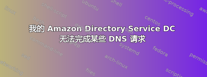 我的 Amazon Directory Service DC 无法完成某些 DNS 请求