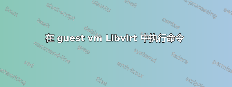 在 guest vm Libvirt 中执行命令