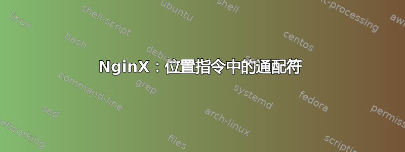 NginX：位置指令中的通配符