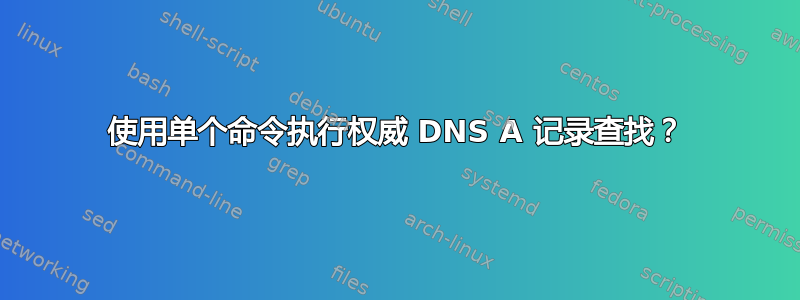 使用单个命令执行权威 DNS A 记录查找？