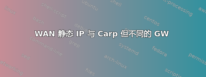 WAN 静态 IP 与 Carp 但不同的 GW