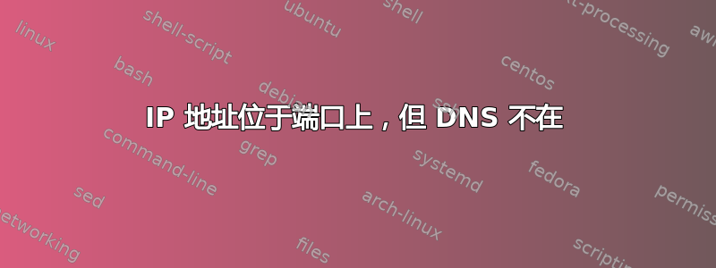 IP 地址位于端口上，但 DNS 不在