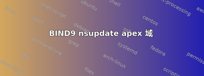 BIND9 nsupdate apex 域