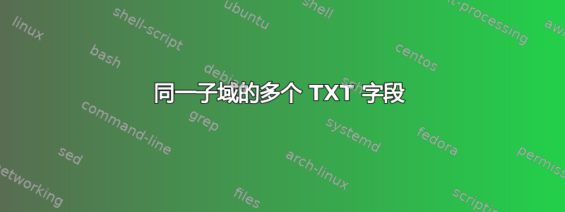 同一子域的多个 TXT 字段