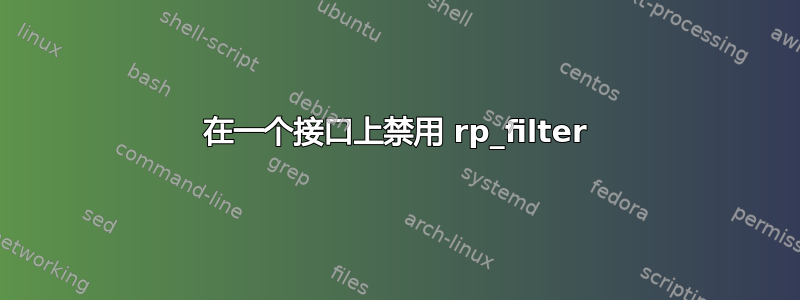 在一个接口上禁用 rp_filter