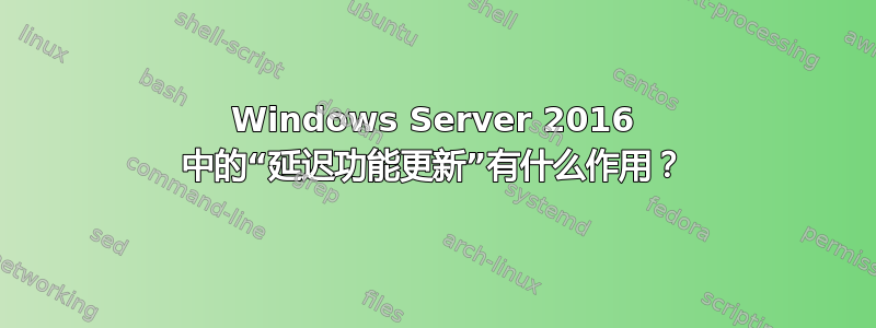 Windows Server 2016 中的“延迟功能更新”有什么作用？