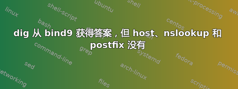 dig 从 bind9 获得答案，但 host、nslookup 和 postfix 没有