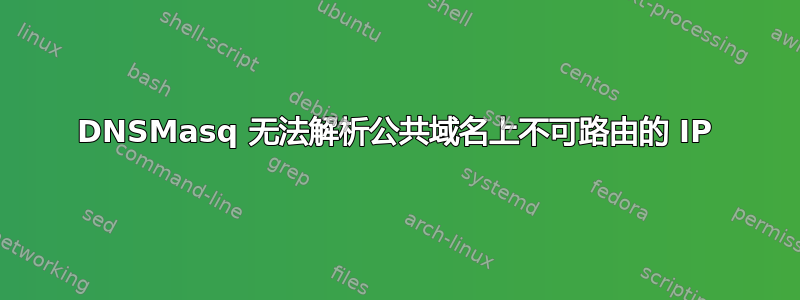 DNSMasq 无法解析公共域名上不可路由的 IP