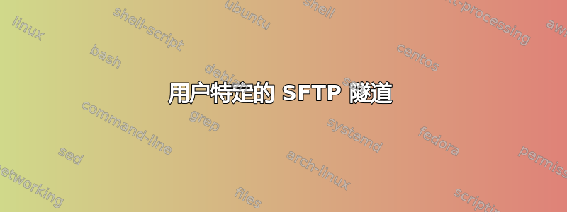 用户特定的 SFTP 隧道