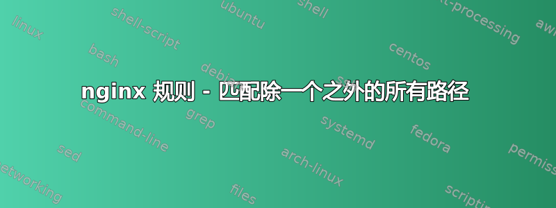 nginx 规则 - 匹配除一个之外的所有路径