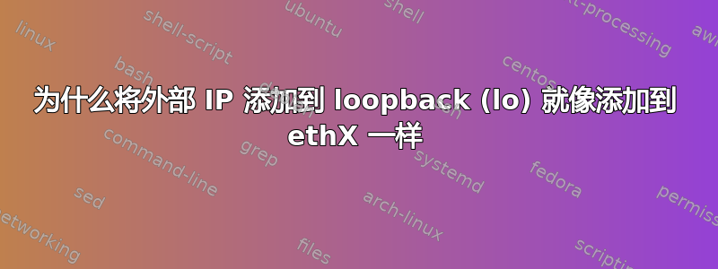 为什么将外部 IP 添加到 loopback (lo) 就像添加到 ethX 一样