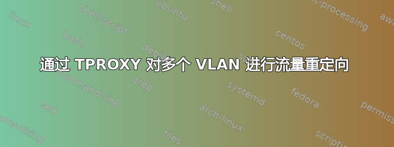 通过 TPROXY 对多个 VLAN 进行流量重定向