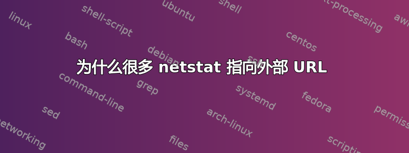 为什么很多 netstat 指向外部 URL