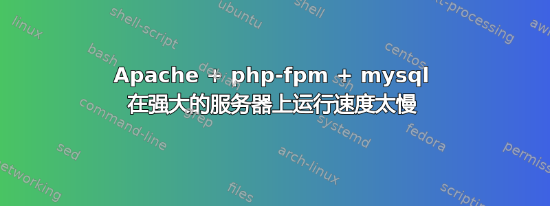 Apache + php-fpm + mysql 在强大的服务器上运行速度太慢