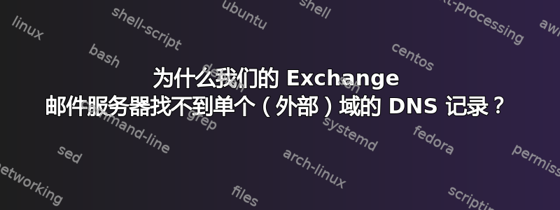 为什么我们的 Exchange 邮件服务器找不到单个（外部）域的 DNS 记录？