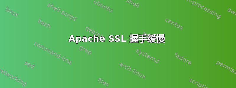 Apache SSL 握手缓慢