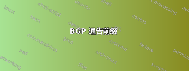 BGP 通告前缀