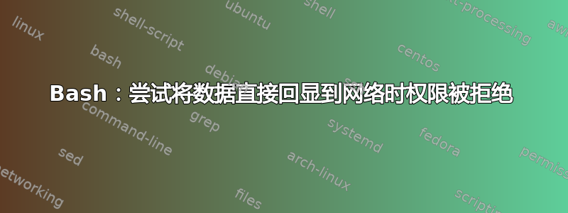 Bash：尝试将数据直接回显到网络时权限被拒绝