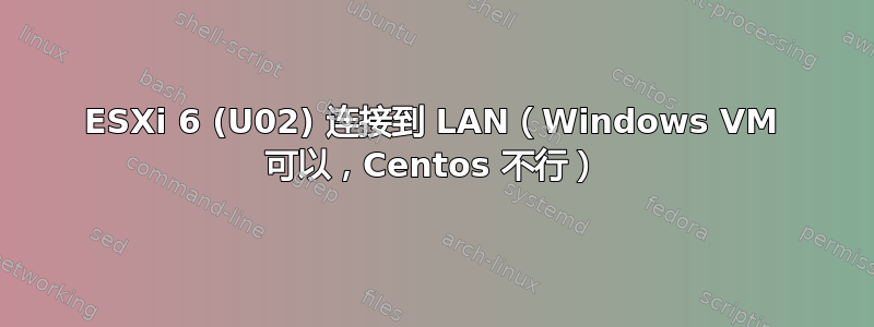 ESXi 6 (U02) 连接到 LAN（Windows VM 可以，Centos 不行）