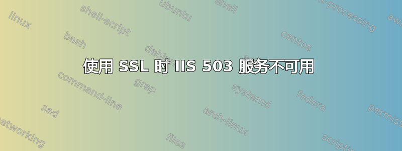 使用 SSL 时 IIS 503 服务不可用