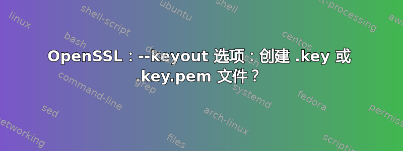 OpenSSL：--keyout 选项：创建 .key 或 .key.pem 文件？