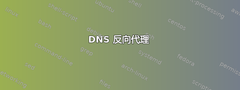 DNS 反向代理