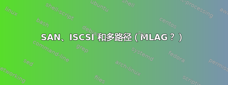 SAN、ISCSI 和多路径（MLAG？）