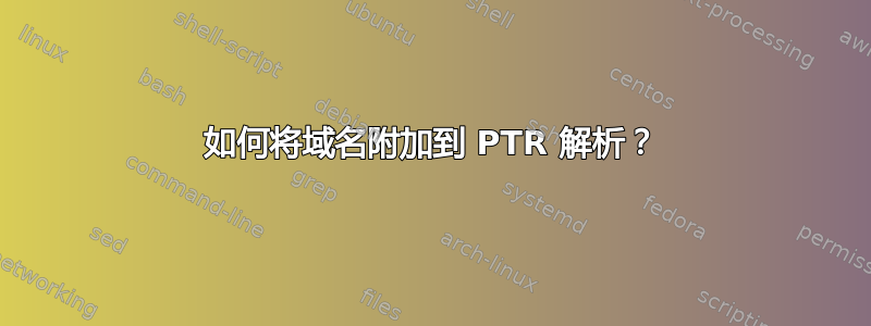 如何将域名附加到 PTR 解析？