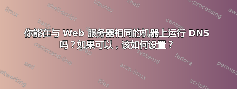 你能在与 Web 服务器相同的机器上运行 DNS 吗？如果可以，该如何设置？