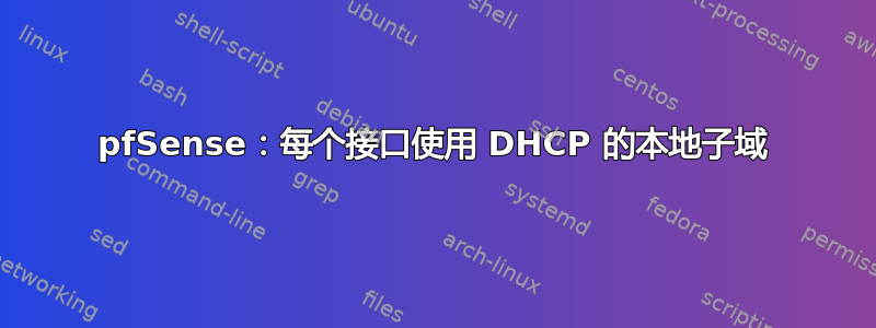 pfSense：每个接口使用 DHCP 的本地子域